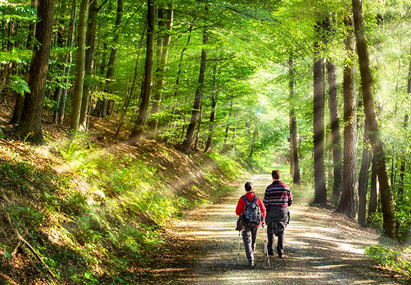image of couple walking in woodland