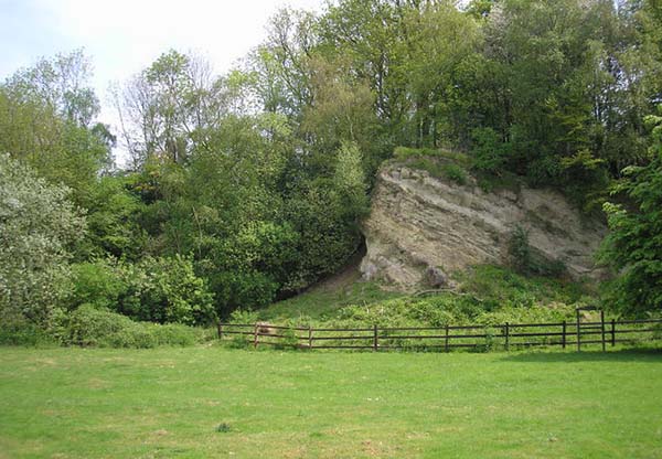 Ragstone outcrop at Dryhill Nature Reserve by Dr Neil Clifton