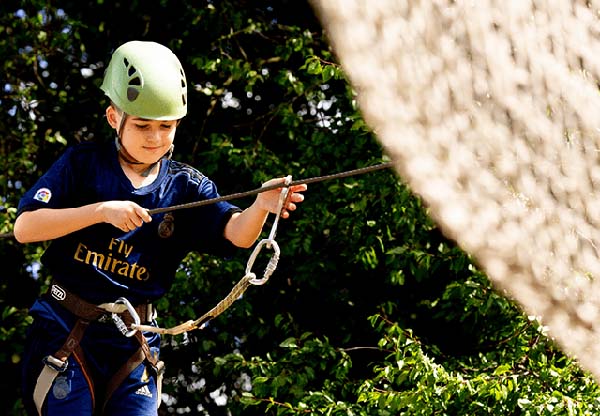 Boy Climbing on Tree Trek at Swanley Park