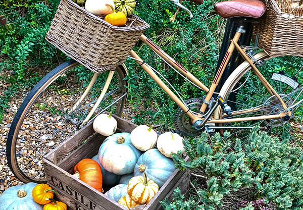 Outside display of pumpkins at Castle Farm Shop