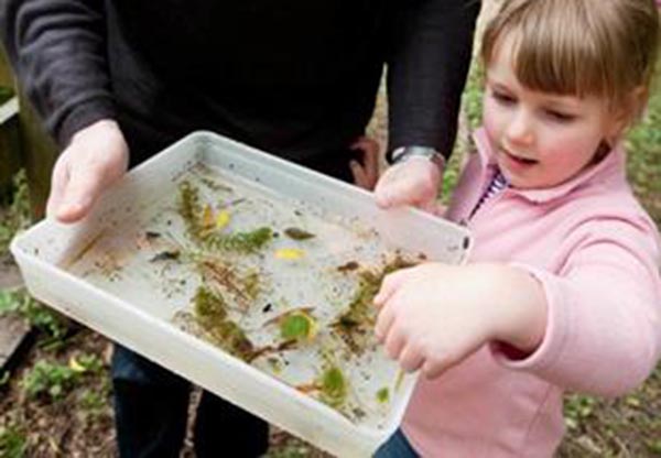 Child learning about moss and leaves