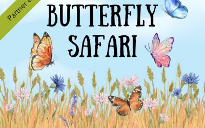 Bore Place: Butterfly Safari